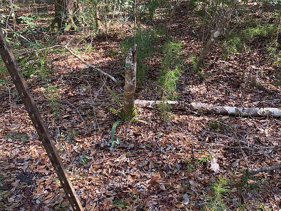 5th image of LOT 43 Choctawhatchee River Rd