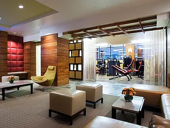 Rented by Bold New York