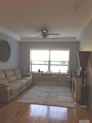 Rented by Douglas Elliman | media 39