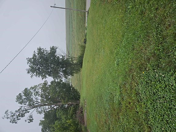 3rd image of 115 7th St