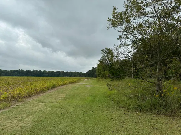 1607 James Martin Rd, Manning, SC 29102