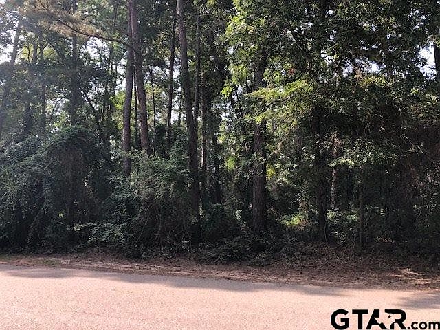 2nd image of 0 Mary Martin Dr
