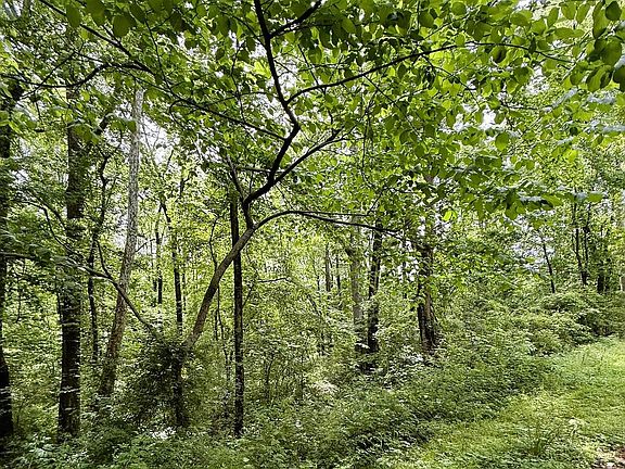 5th image of 0 Poplar Trl #1