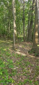 Lincoln Blvd, Hudson, OH, 44236
