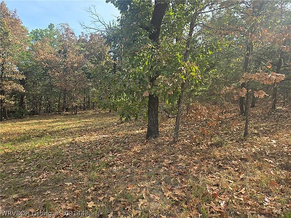 4th image of 619 Walker Mountain Rd