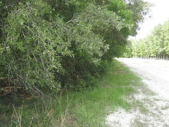 SW Micanopy Gln, Fort White, FL 32038