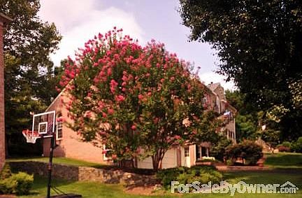 Front elevation, lower level
						:
						mature crepe myrtles frame property