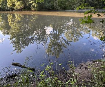 0 Whitetail Ct, West Branch, MI, 48661