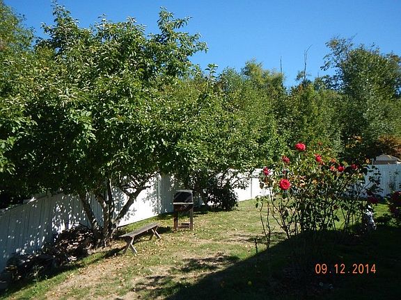 Back yard