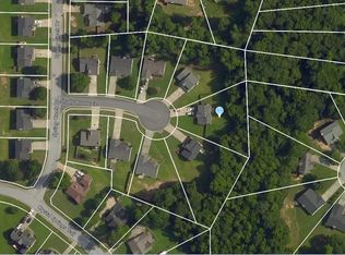 1244 Shady Brook Ct, Hampton, GA 30228