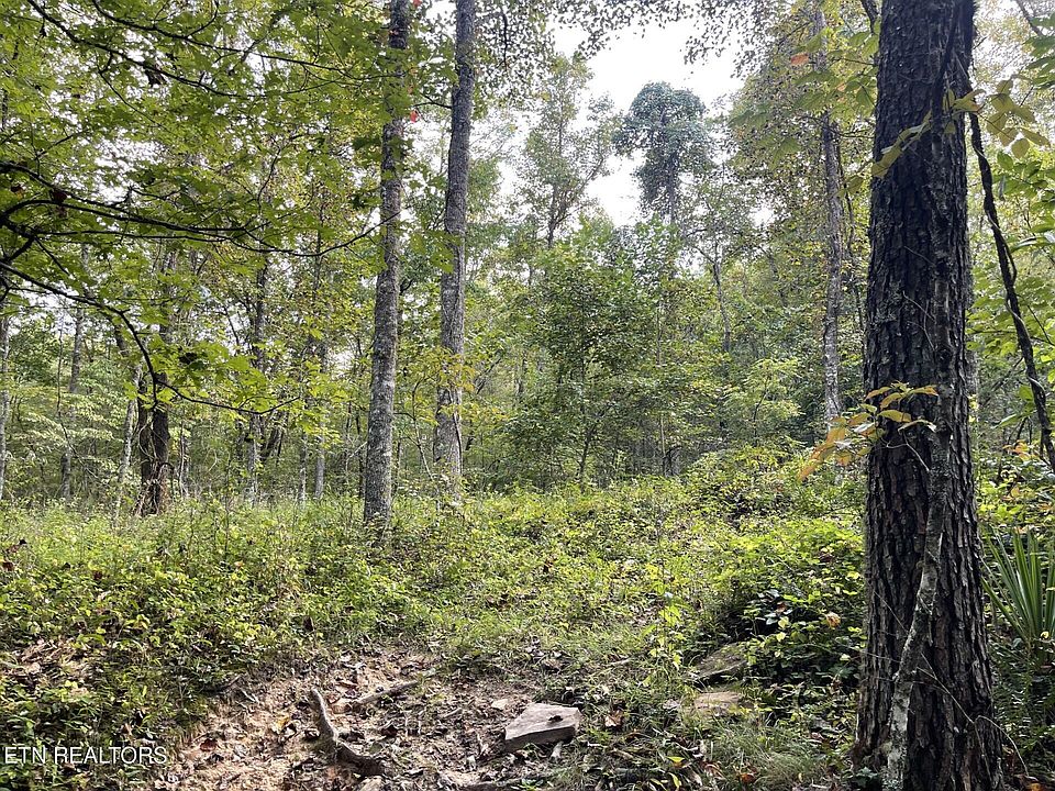 1st image of Off Buckridge Road Acres #30.5