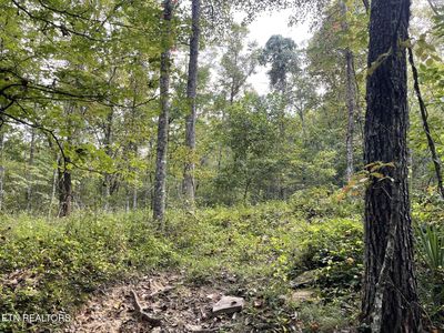 Off Buckridge Road Acres #30.5, Crossville, TN, 38572