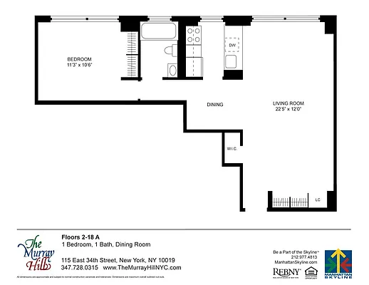 Rented by Manhattan Skyline | media 6