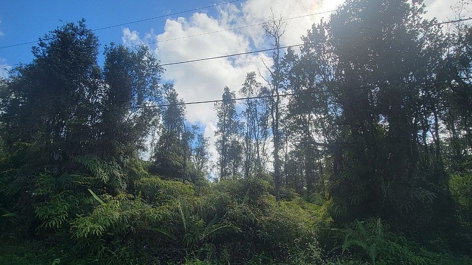 2nd image of Pikake Rd