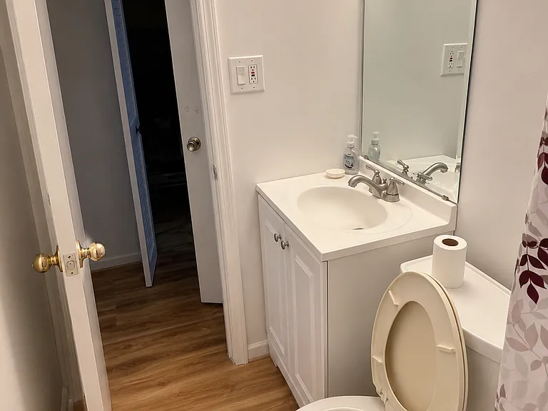 Basement Bathroom