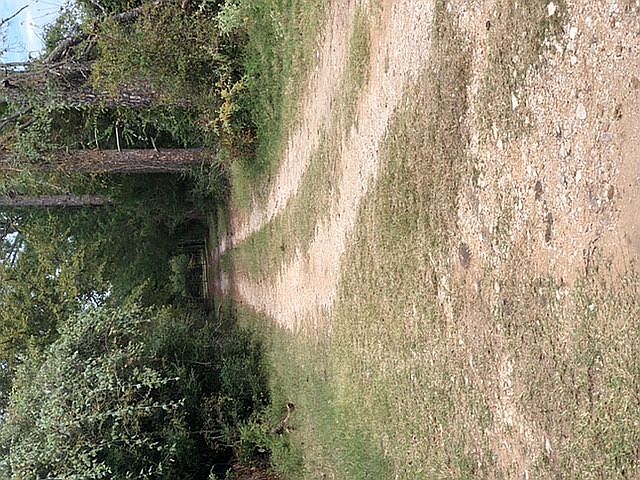2nd image of 14310 Tonkaway Lake Rd