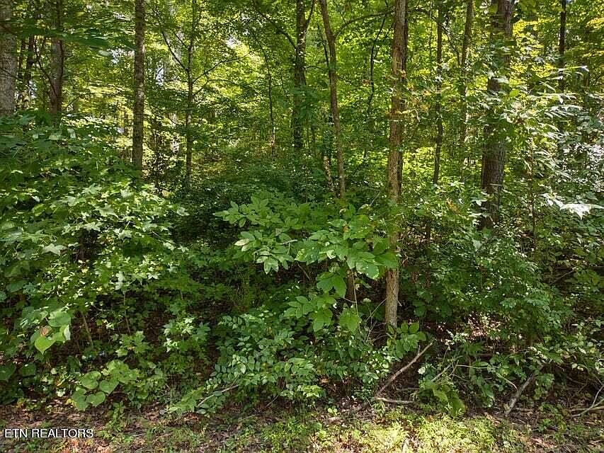2nd image of Clear Springs Rd