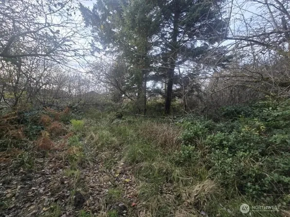 570 NE Puffin Avenue, Ocean Shores, WA 98569