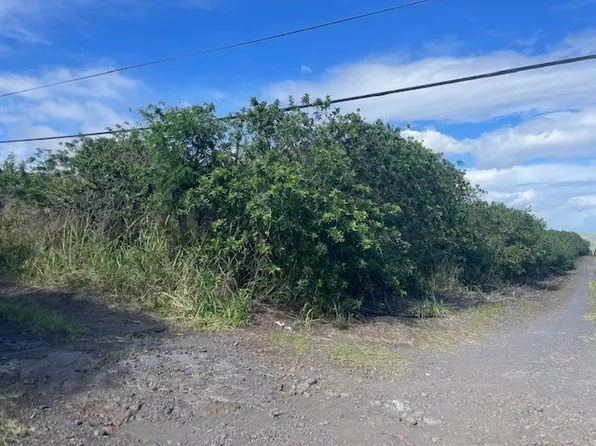 LOT 4 Lot 4, Naalehu, HI 96772