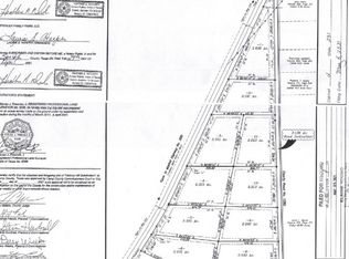 LOT 1 Fm 556, Pittsburg, TX 75686