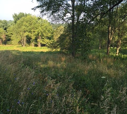 4th image of 205 Township Rd