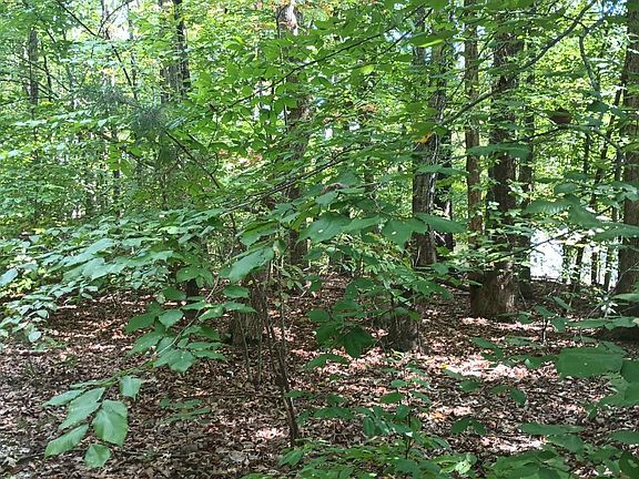 4th image of 0 Piney Mountain Ln #22