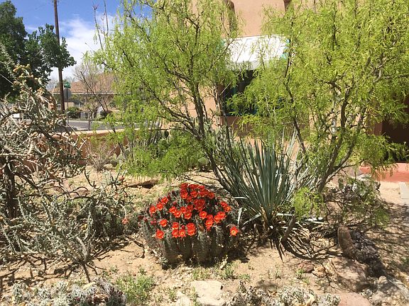 3rd image of 1025 Manzano Ct NW