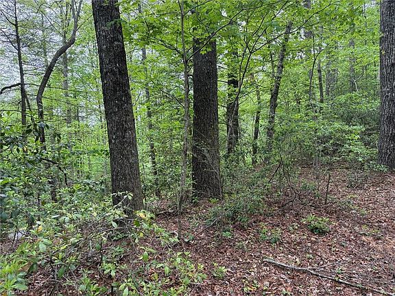3rd image of W Ridge Rd