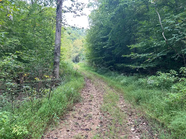 9999 Little Leatherwood Creek Rd, Cornettsville, KY 41731