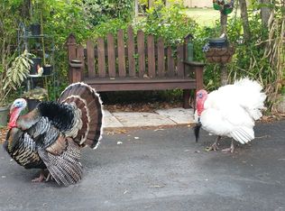 3716 W Lutz Lake Fern Rd, Lutz, FL 33558