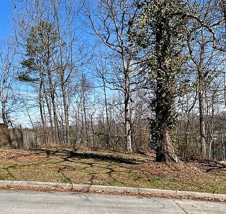 4th image of 0 Rome Dr NW