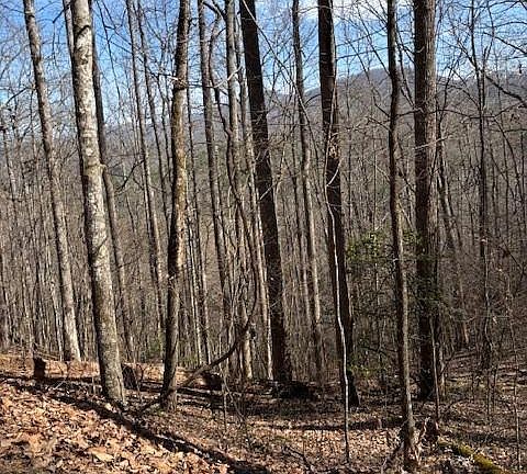 5th image of 13 Henderson Rd