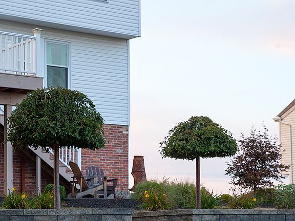 3rd image of 215 Dogwood Cir
