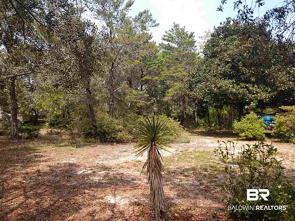 3rd image of Fort Morgan Rd