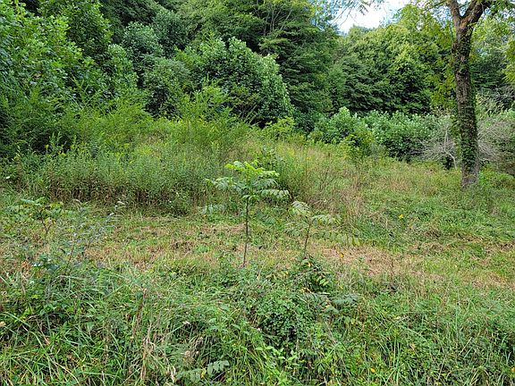 5th image of 0 Drystone Branch Rd