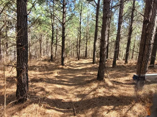 1 Saddleback Dr Lot 47, Dover, TN 37058