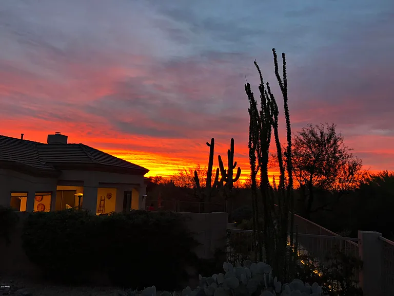 6894 E Thirsty Cactus Ln — Photo 55
