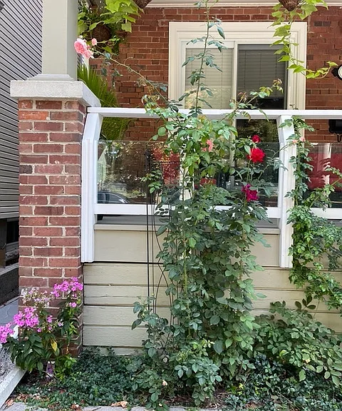 39 Lee Ave #1 — Photo 31