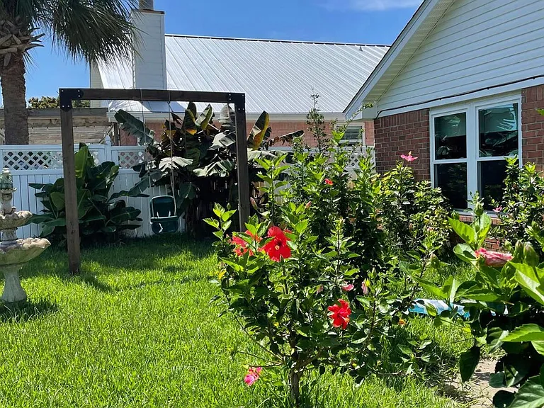 Backyard lush and relaxing
