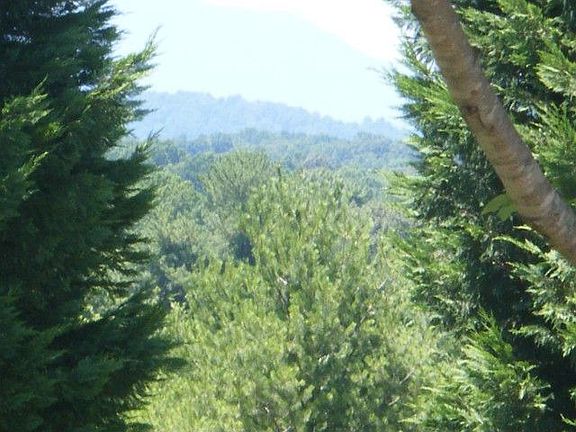 3rd image of 1293 Valley Vista Ln