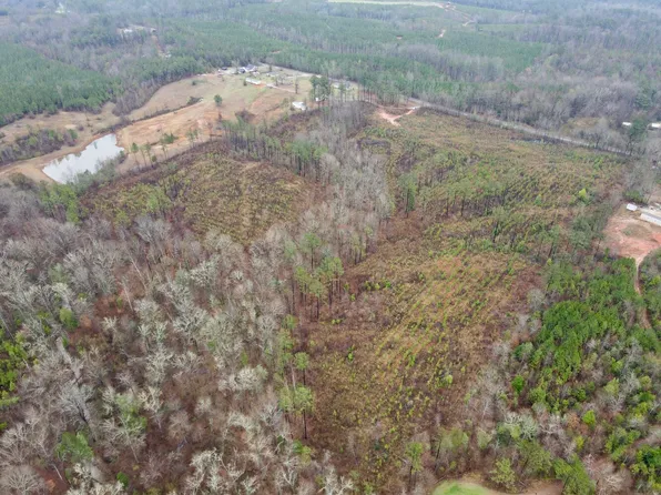 0 Marengo County Rd #15, Sweet Water, AL 36782