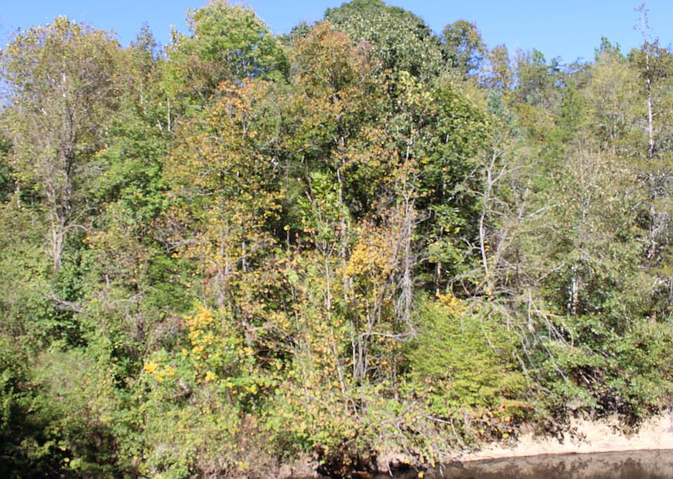 1st image of 0 Johnson Mill Rd