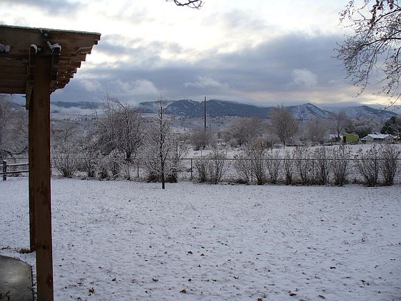 Backyard View