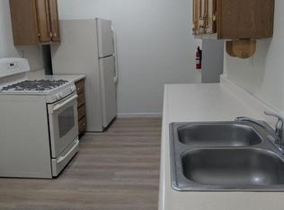 301 E Andre Ave APT 3, Mount Pleasant, MI 48858