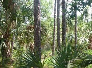 2404 Darts Cove Way, Mount Pleasant, SC 29466