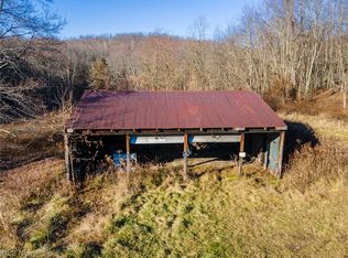 Buzzard Rd, Wellsville, OH 43968