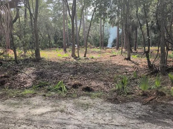 MARIE AVENUE LOT 19, DELAND, FL 32720
