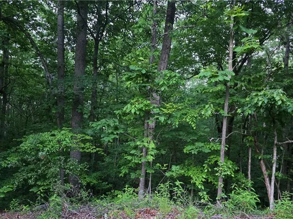 0 Old McKaskey Creek Rd SE, Cartersville, GA 30121