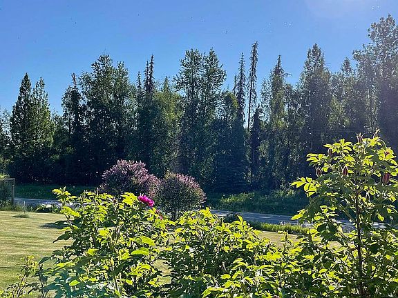 Front yard from porch