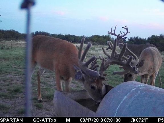 2nd image of 14420 E Highway 190